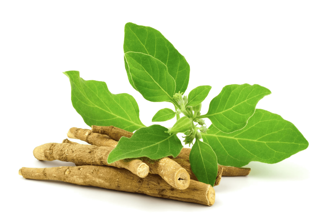 Ashwagandha Roots